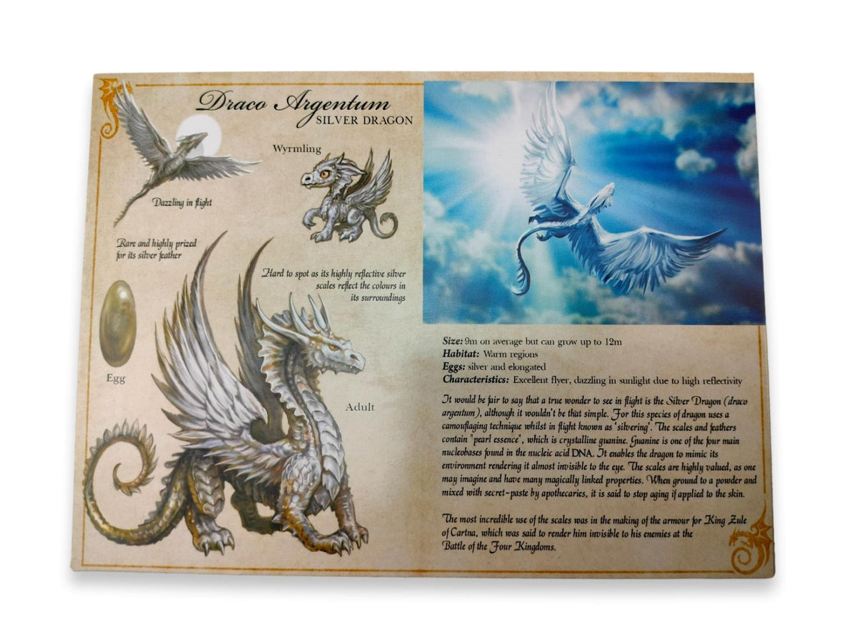 Dragon d'argent, Argentum