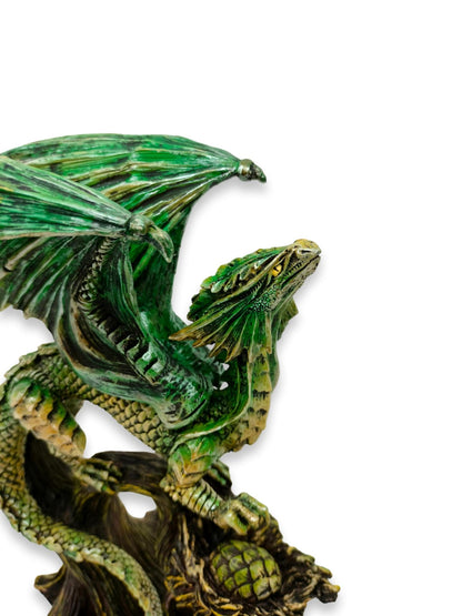 Drago della foresta Saltus