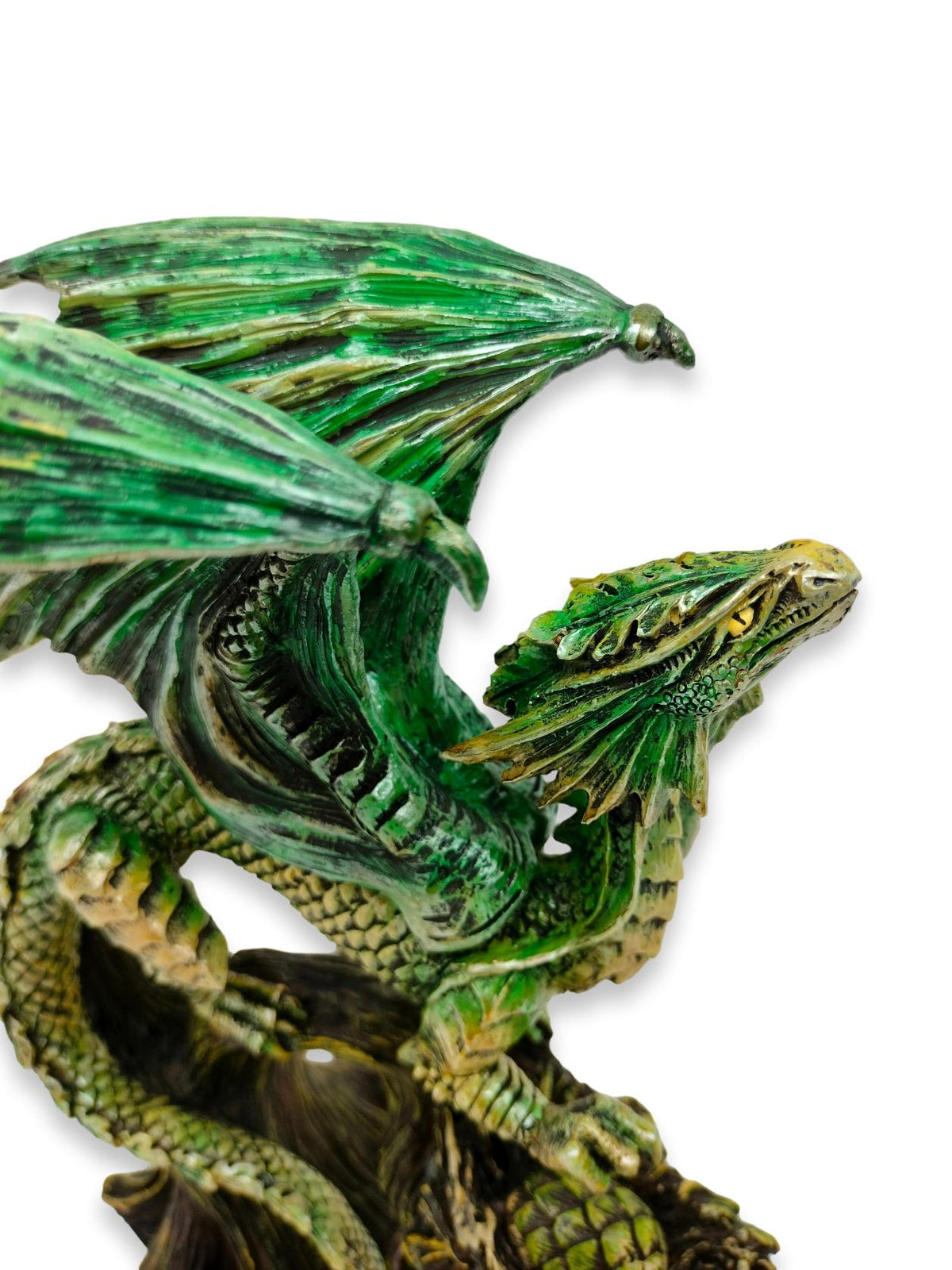 Drago della foresta Saltus