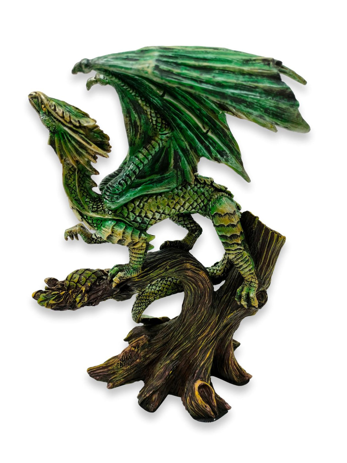 Drago della foresta Saltus