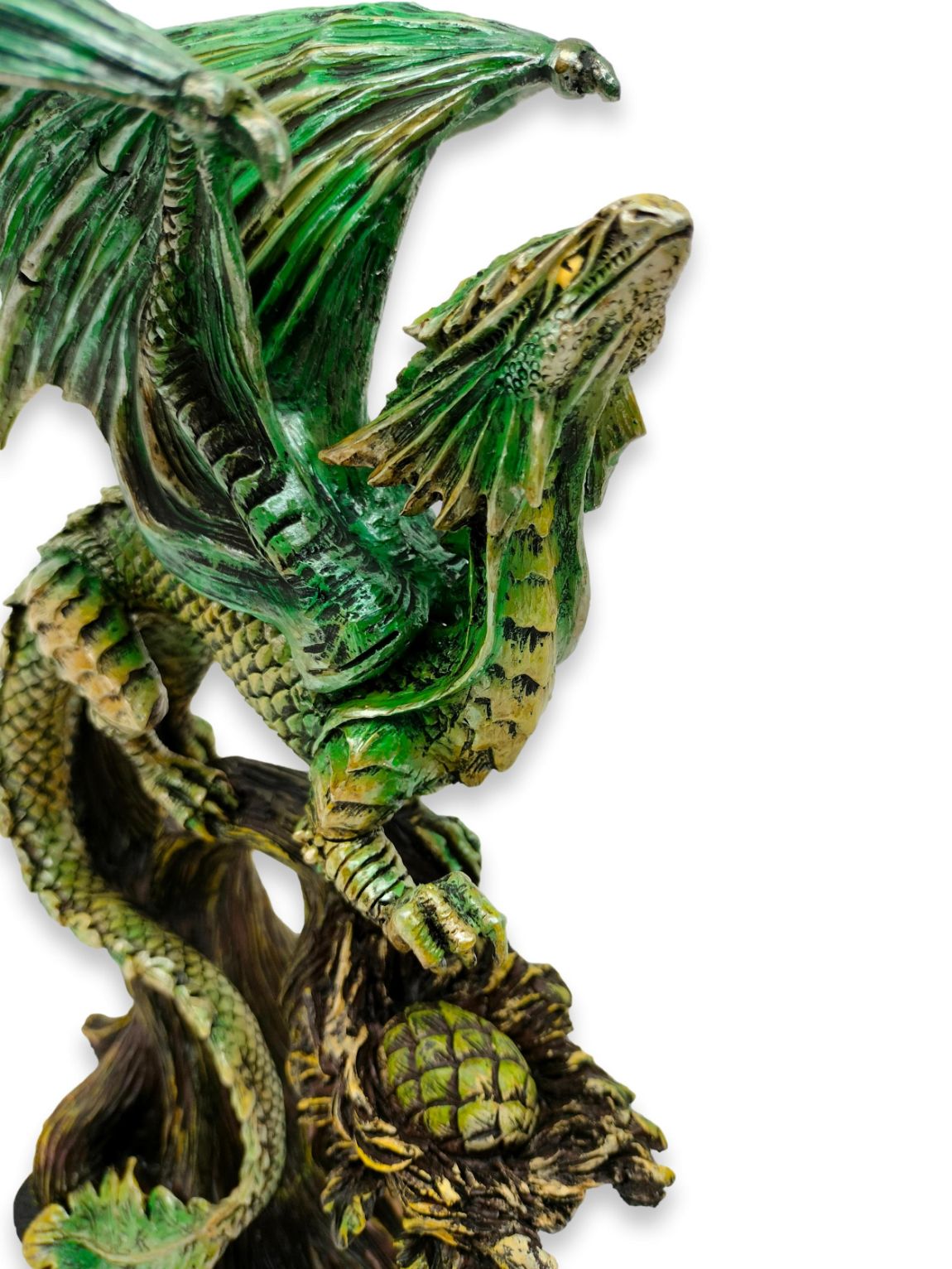 Drago della foresta Saltus