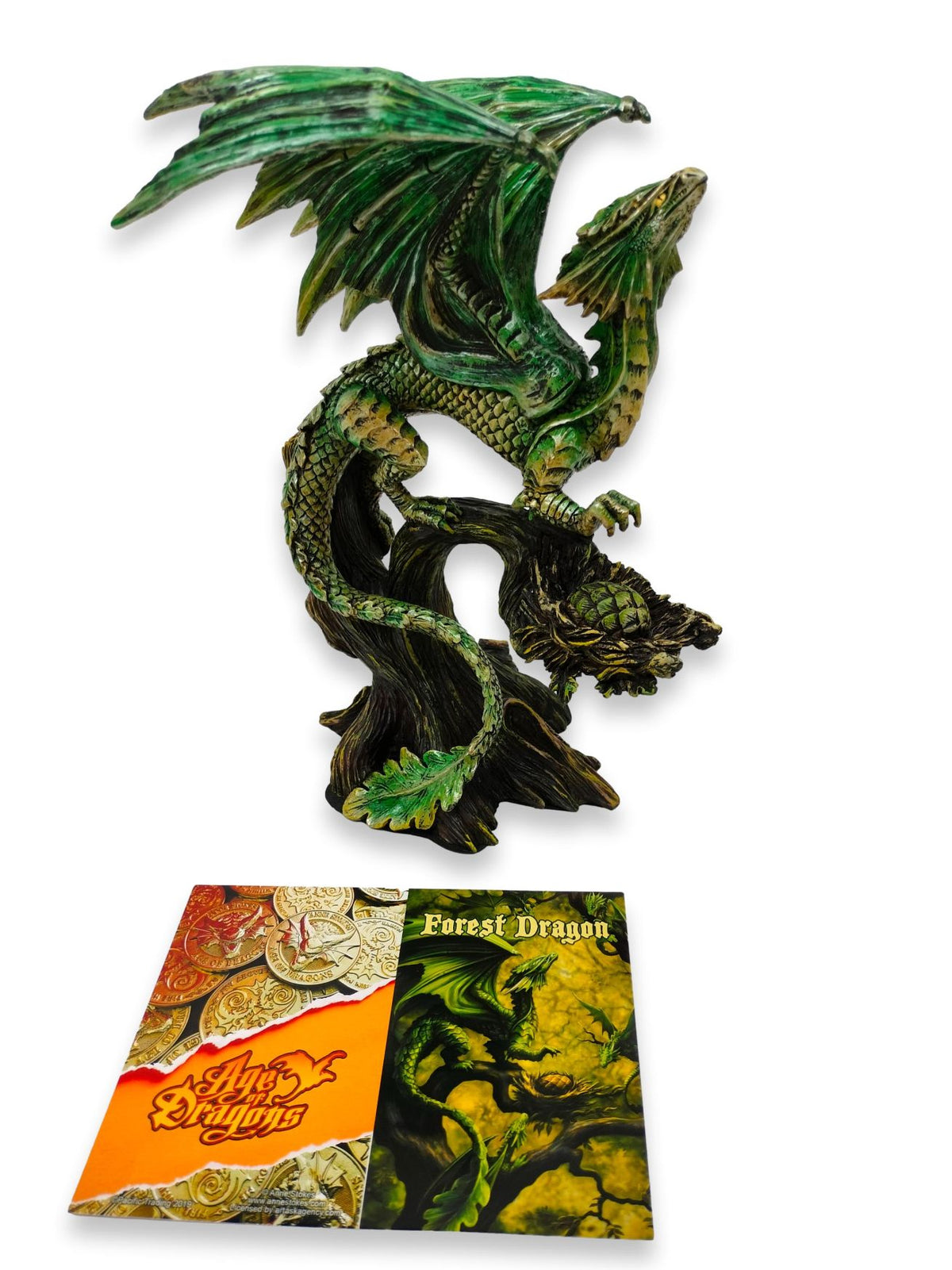 Drago della foresta Saltus
