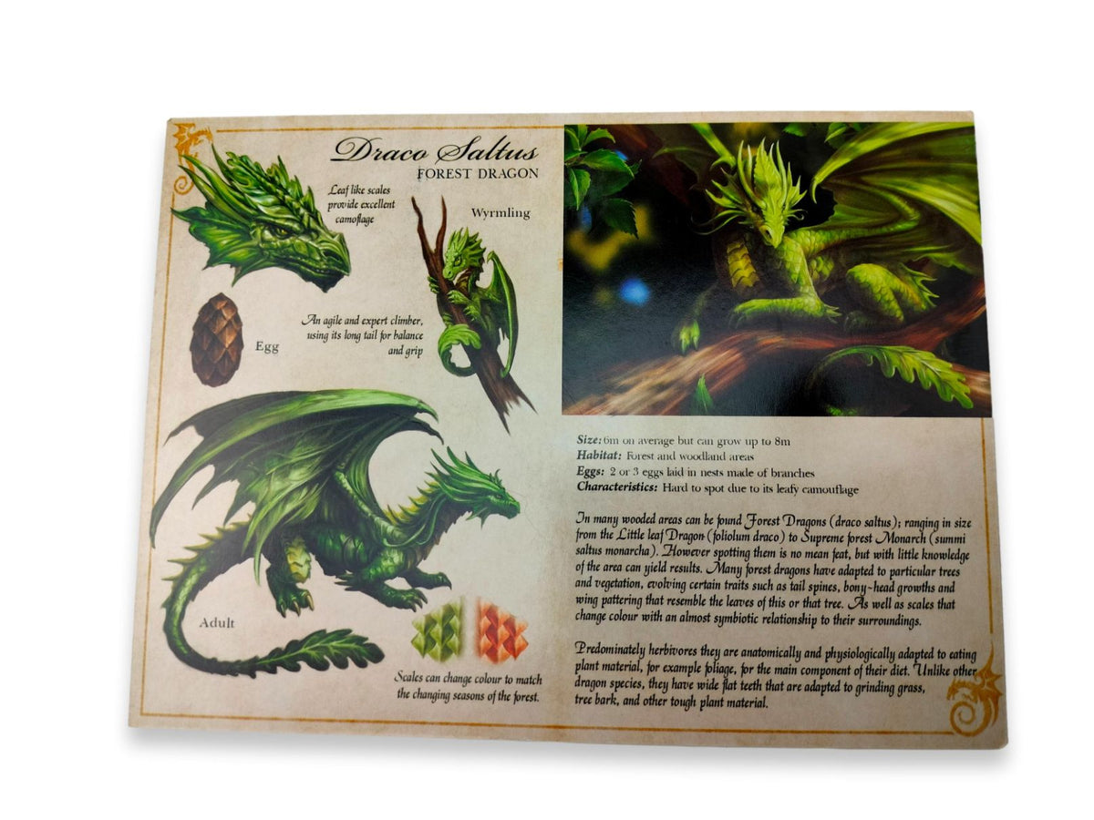 Drago della foresta Saltus