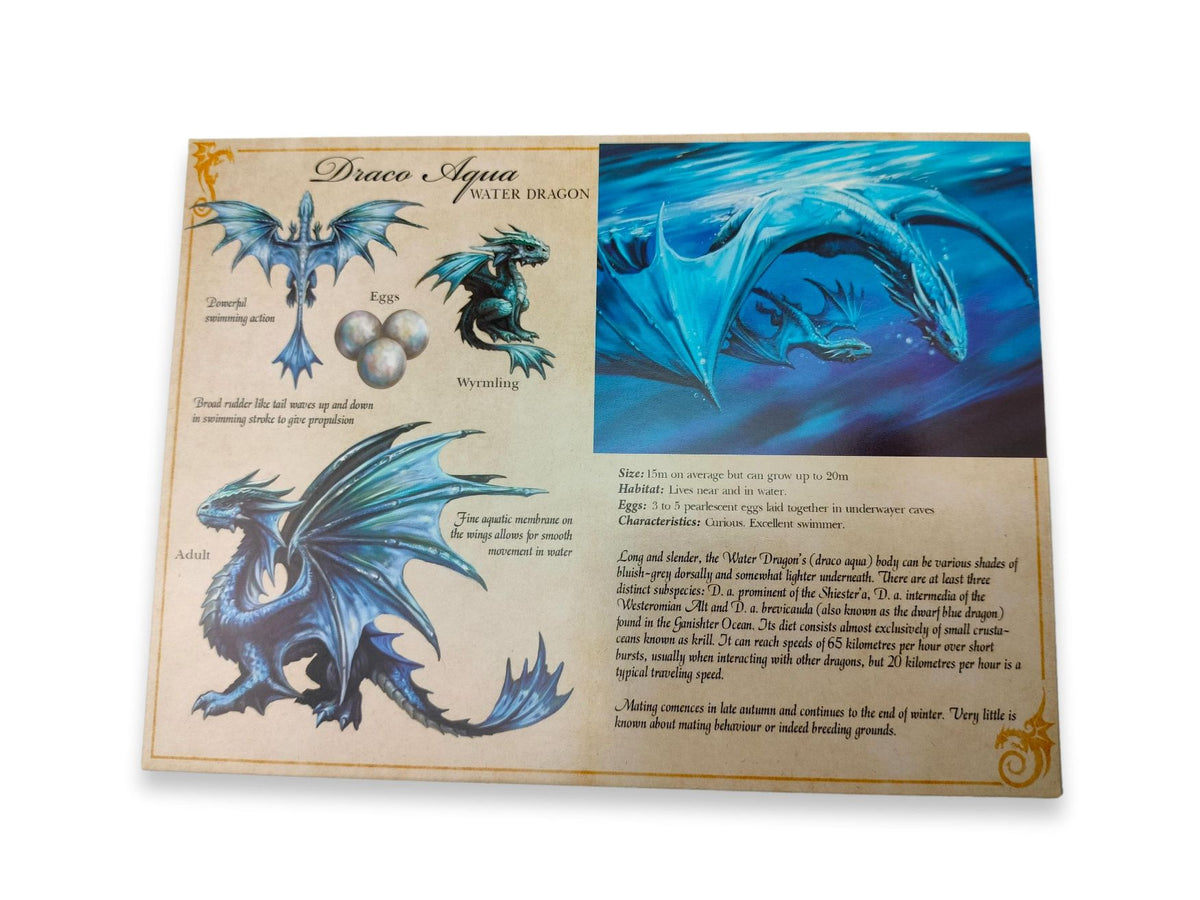 Drago d'acqua Aqua