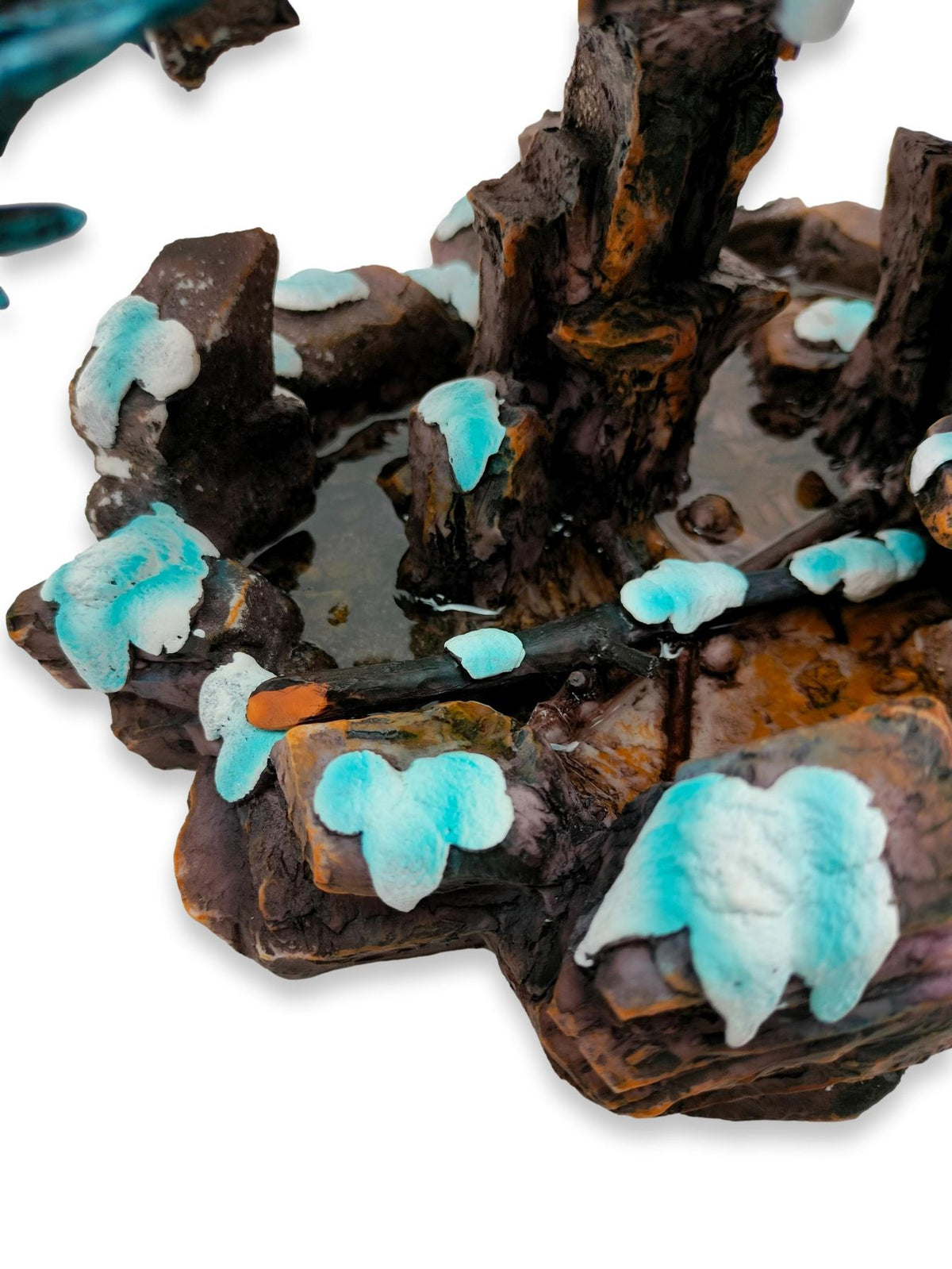 Dragon sauvage sur un rocher