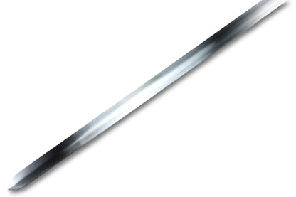 Lord of the Rings: Strider's Sword