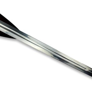 IMG_5647_clipped_rev_1